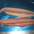 Frozen Mahi Mahi Fillet With Good Price